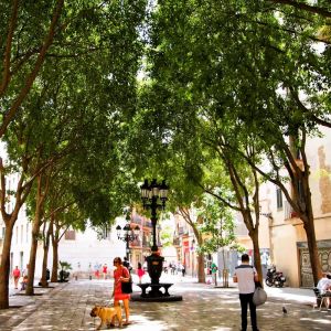 Plaza de las Basses. Autor: Jaume Barnada