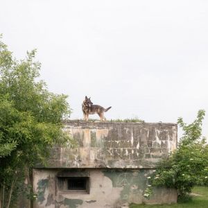 Zdroj: Alex Shoots Buildings