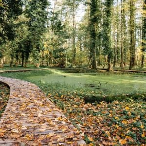 Park kaštieľa v Lednických Rovniach. Zdroj: Fénix - kultúrna pamiatka roka