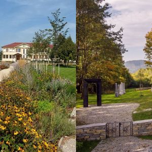 Najkrajšie zelené miesta na Slovensku. Pozrite sa na výber výnimočných parkov a záhrad roka 2024