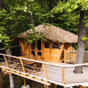 Zdroj: Tree House