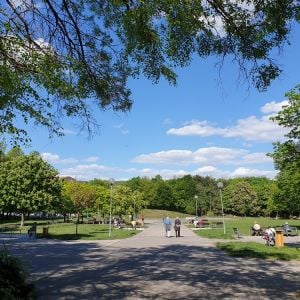 Park Družba.Zdroj: Mestská časť Bratislava - Dúbravka