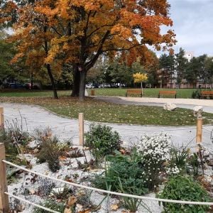 Park Fedákova. Zdroj: Mestská časť Bratislava - Dúbravka